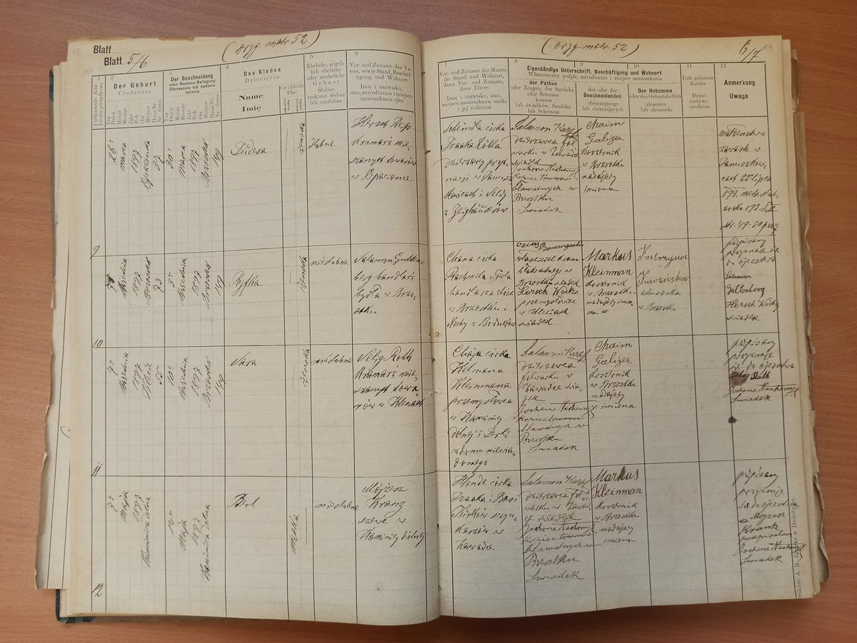 Page image showing birth records covering #9 of 1897