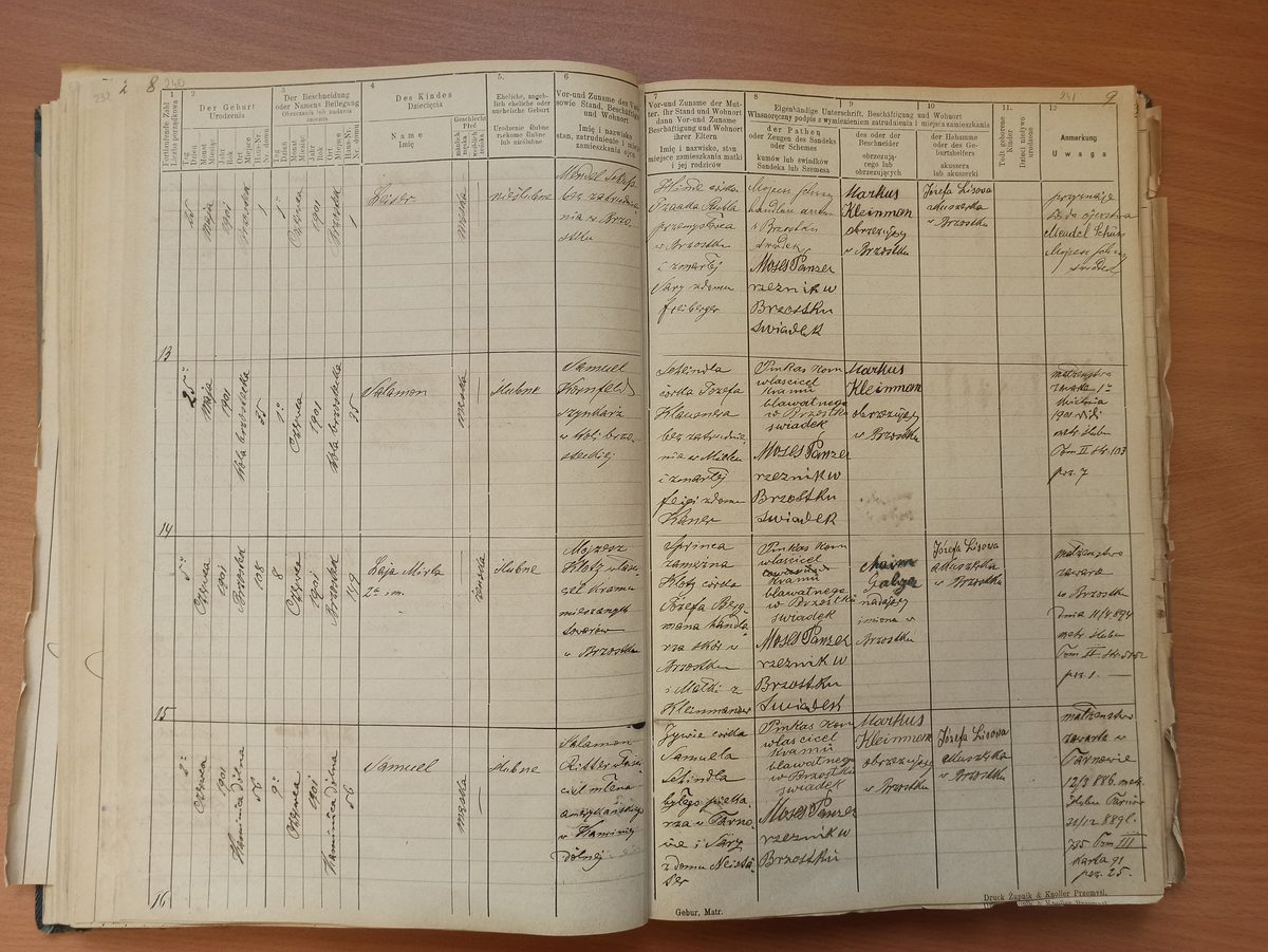 Page image showing birth records covering #15 of 1901
