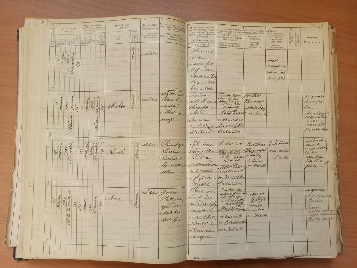 Page image showing birth records covering #5 of 1901