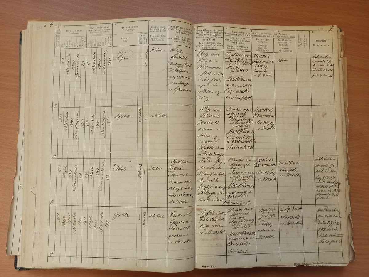 Page image showing birth records covering #9 of 1901