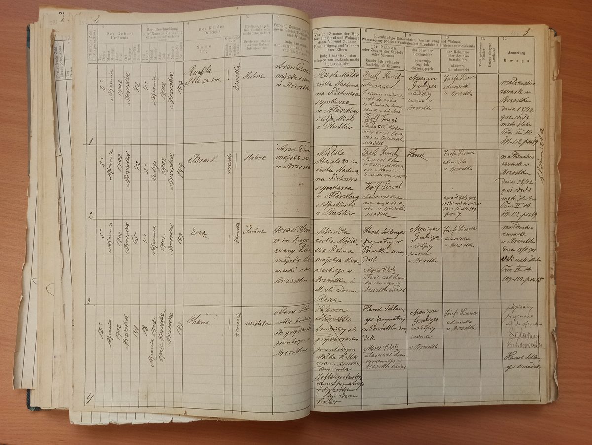 Page image showing birth records covering #1 of 1902