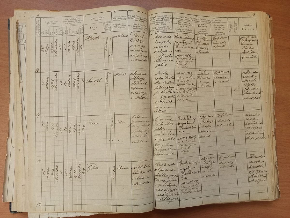 Page image showing birth records covering #13 of 1902