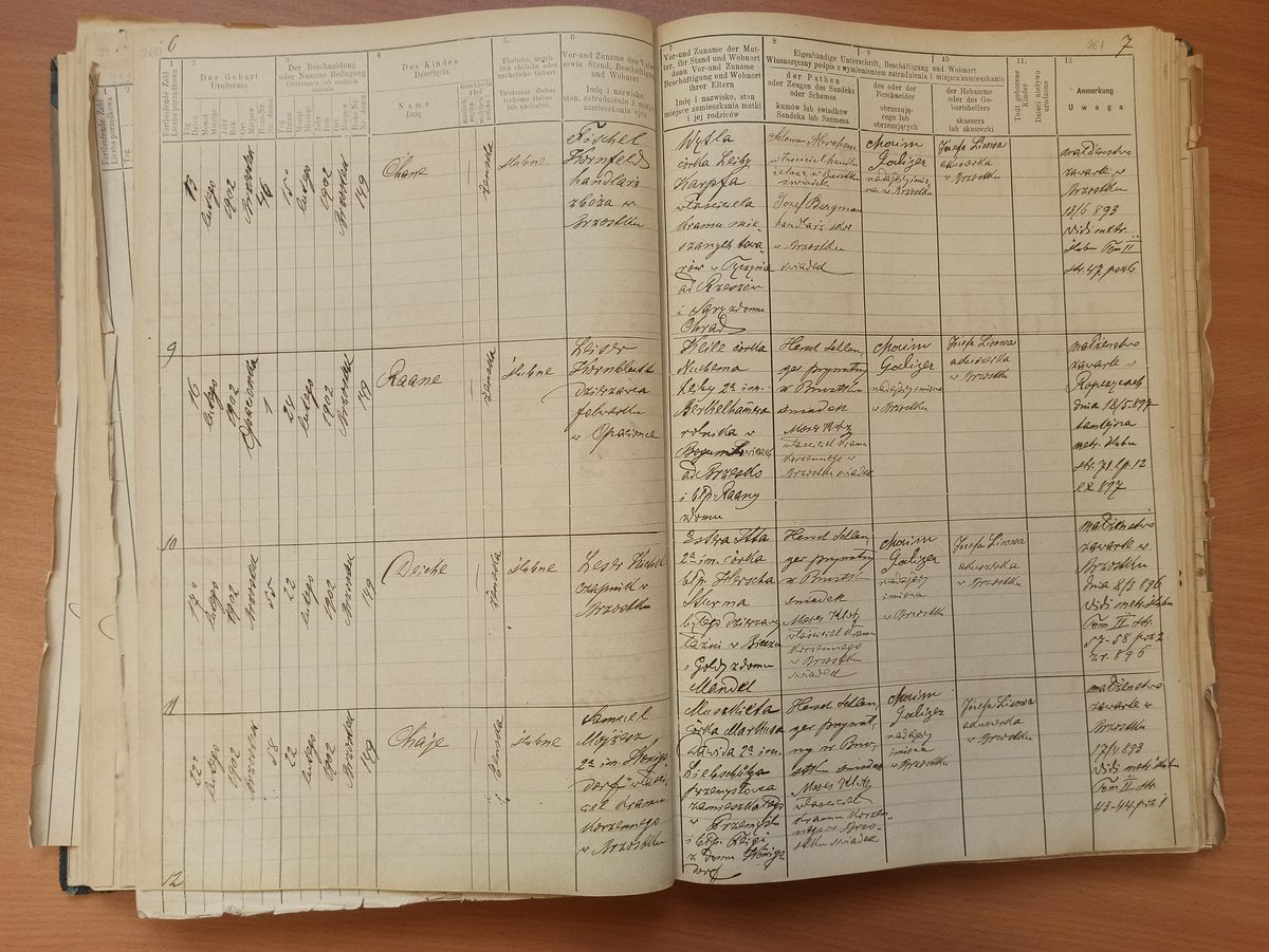 Page image showing birth records covering #9 of 1902