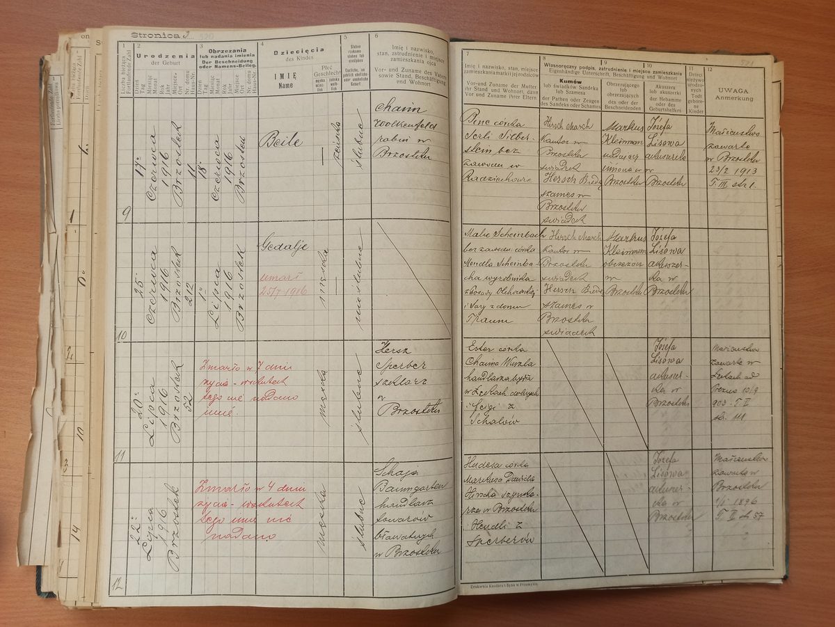 Page image showing birth records covering #9 of 1916