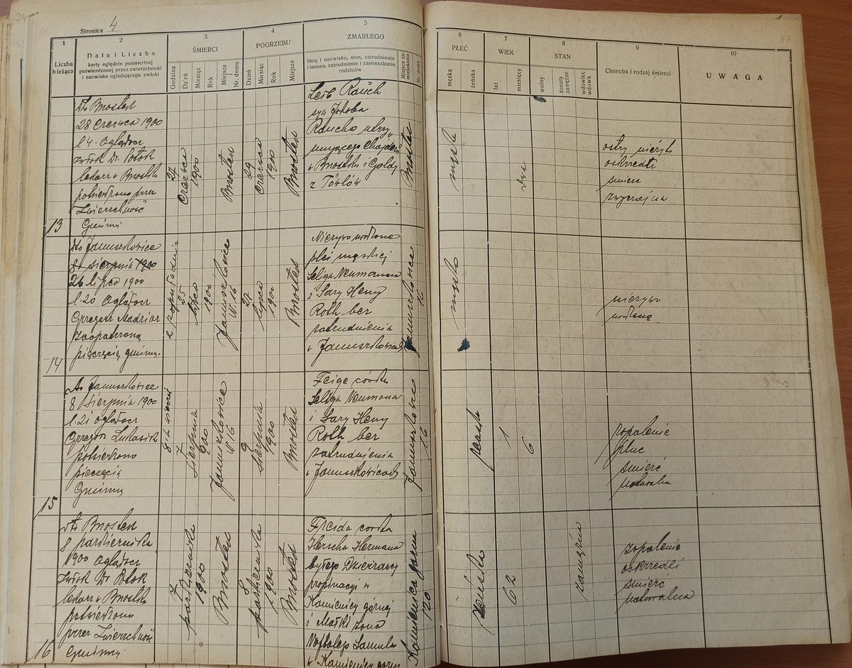 Page image showing death records covering #13 of 1900
