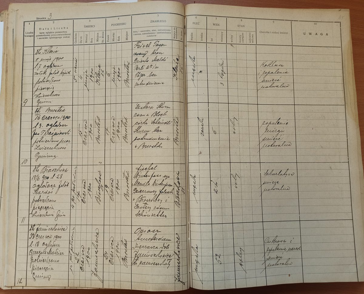 Page image showing death records covering #10 of 1900