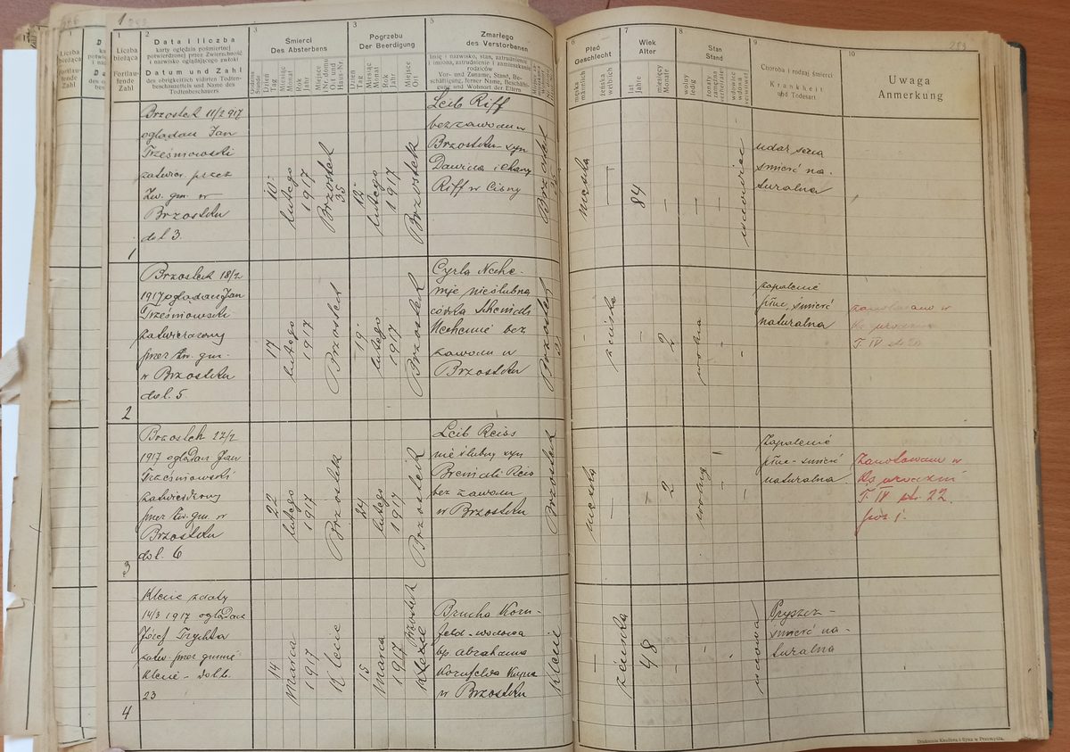 Page image showing death records covering #2 of 1917